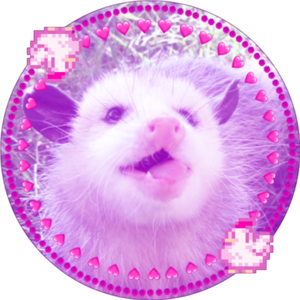 opossumkin